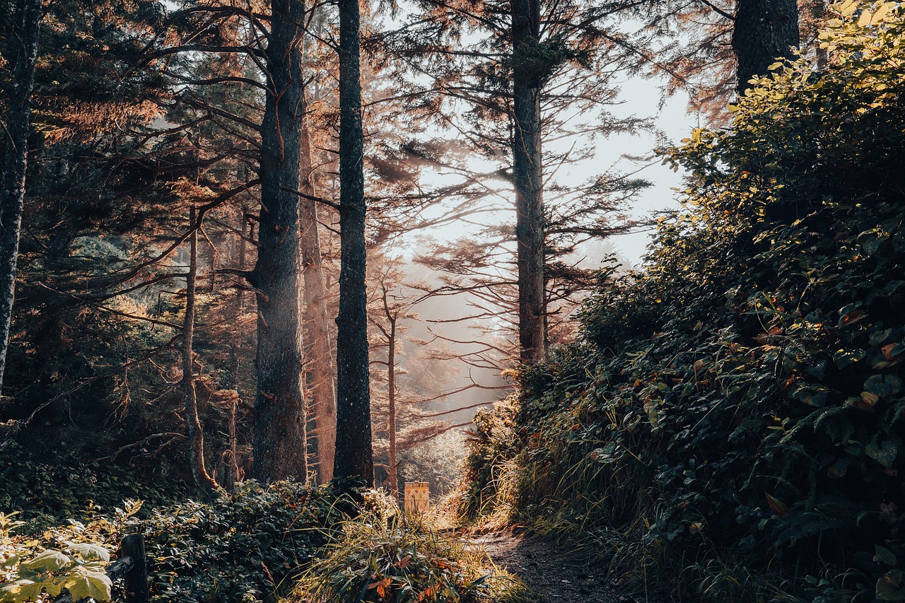 How to Encourage Your Kids to Advocate for Sustainability?